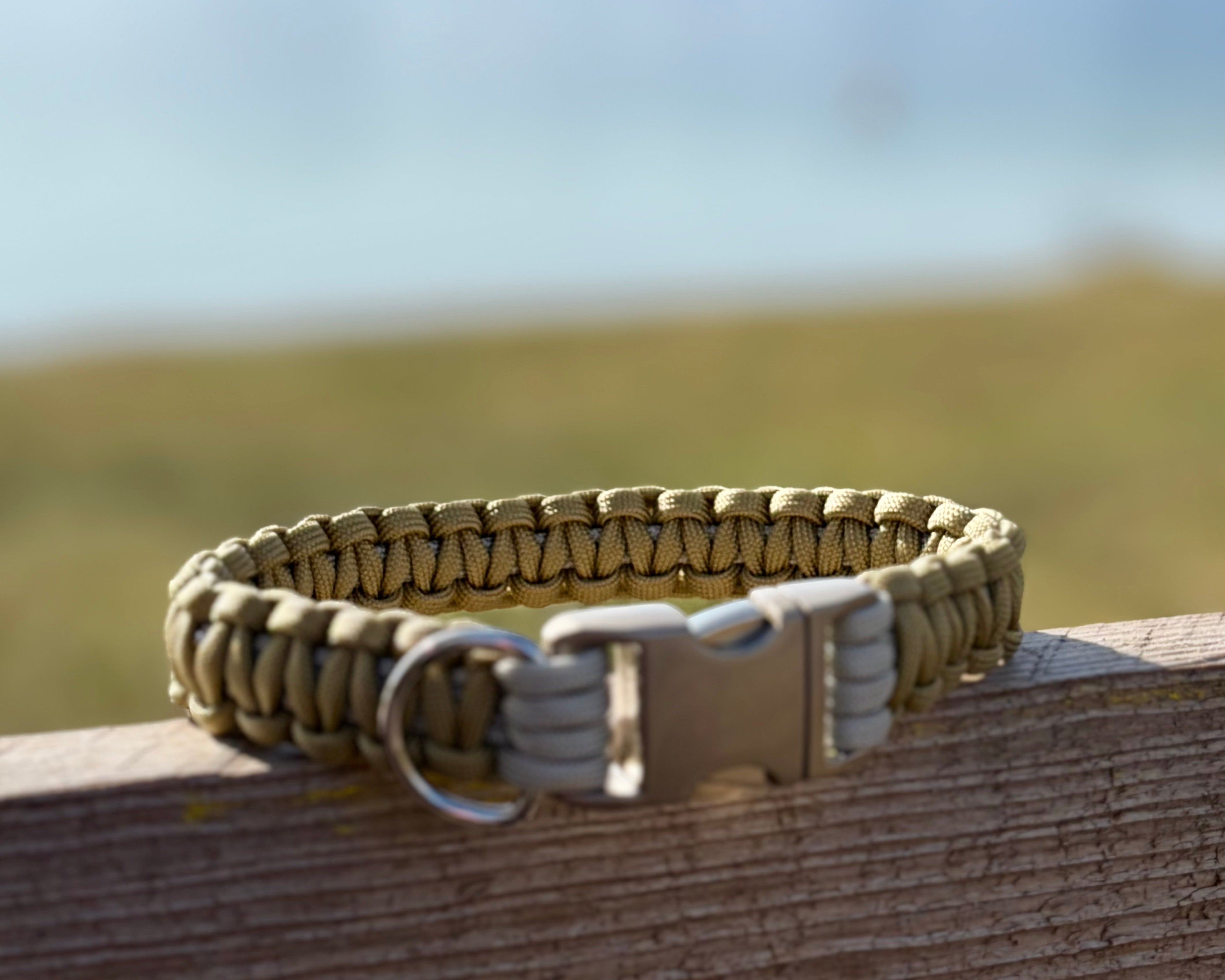 DÜNE Set - Halsband & Leine