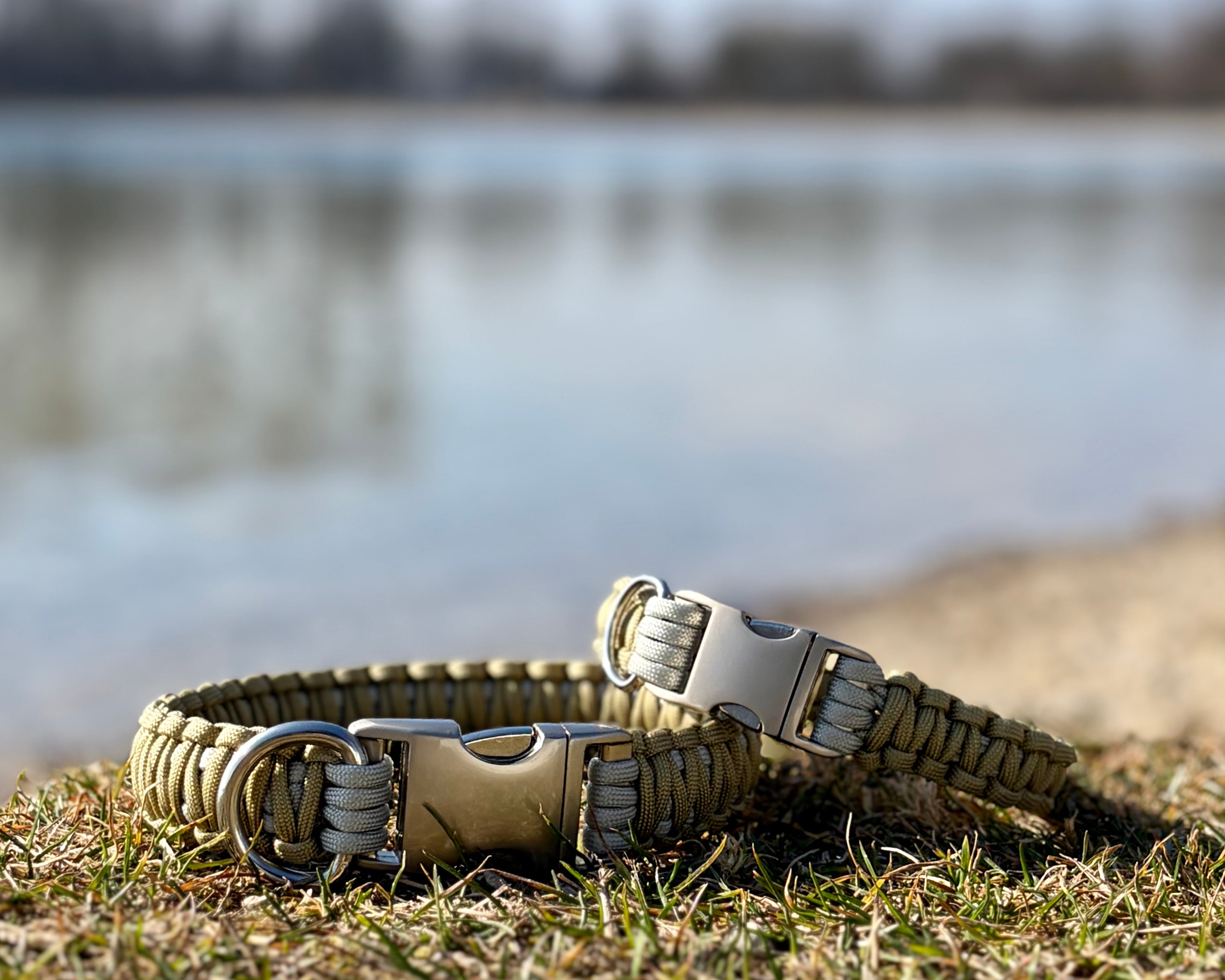 DÜNE Set - Halsband & Leine